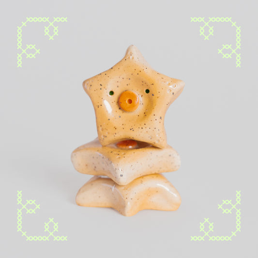 starla the sea star worry stone