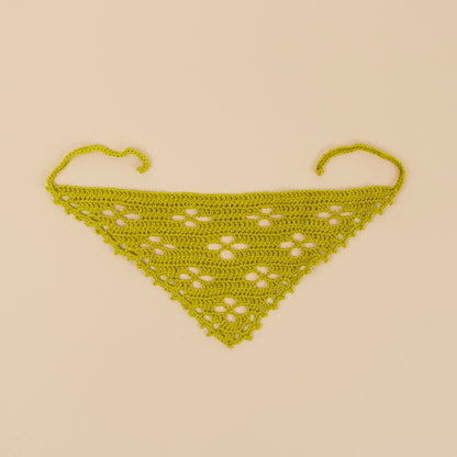 Algae Ecology-Inspired Crochet Bandana