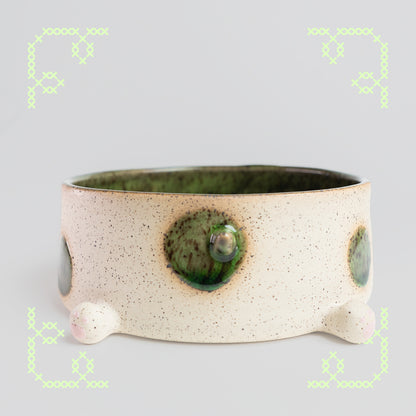 marimo the moss dog ikebana dish