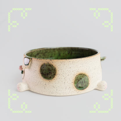 marimo the moss dog ikebana dish