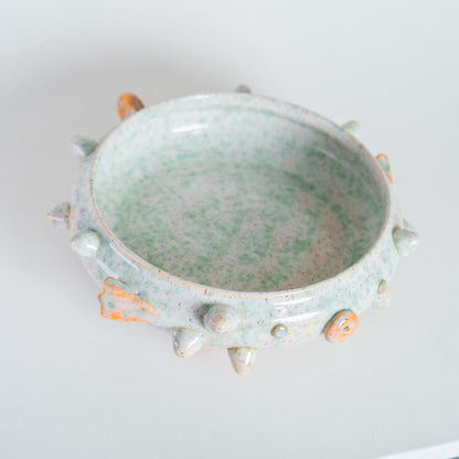 sago the puffer ikebana dish