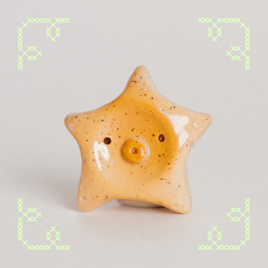 starla the sea star worry stone